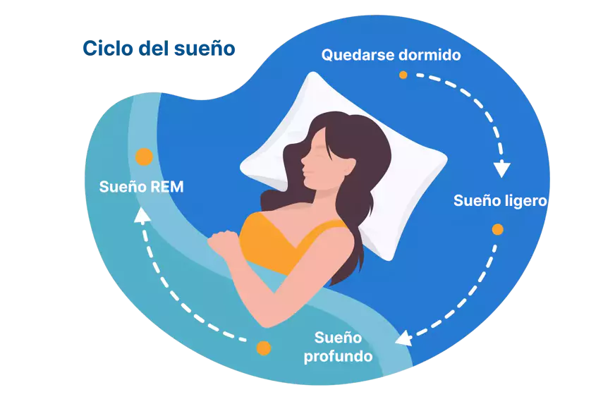 Calculadora de Sueño